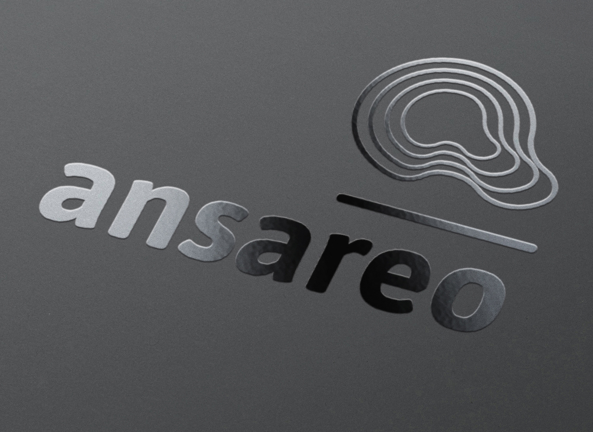 IDENTIDAD, MARCA, LOGOTIPO, MARCA GLOBAL ANSAREO, DISEÑO GRÁFICO ÁLAVA